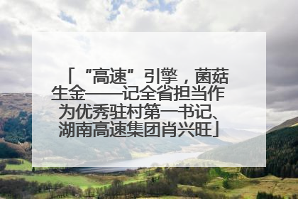 “高速”引擎，菌菇生金——记全省担当作为优秀驻村第一书记、湖南高速集团肖兴旺