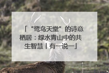 “鹭鸟天堂”的诗意栖居：绿水青山中的共生智慧丨有一说一