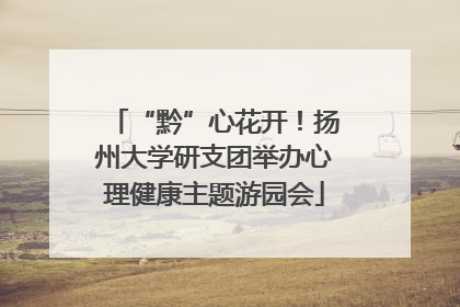 “黔”心花开！扬州大学研支团举办心理健康主题游园会