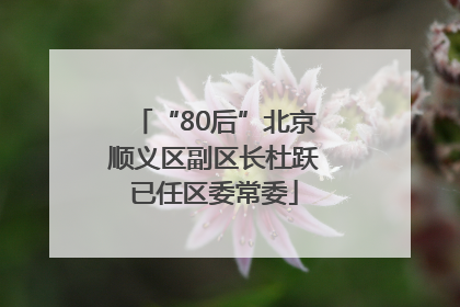 “80后”北京顺义区副区长杜跃已任区委常委