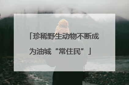 珍稀野生动物不断成为油城“常住民”