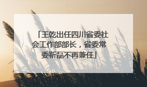 王乾出任四川省委社会工作部部长，省委常委靳磊不再兼任