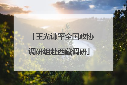 王光谦率全国政协调研组赴西藏调研