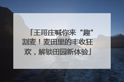 王哥庄喊你来“趣”割麦！麦田里的丰收狂欢，解锁田园新体验