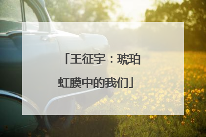 王征宇：琥珀虹膜中的我们
