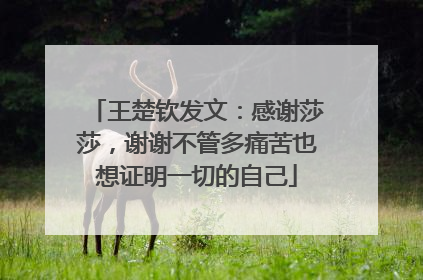 王楚钦发文：感谢莎莎，谢谢不管多痛苦也想证明一切的自己