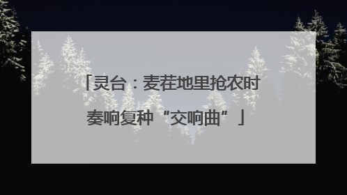 灵台：麦茬地里抢农时 奏响复种“交响曲”