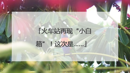 火车站再现“小白箱”！这次是……