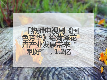 热播电视剧《国色芳华》给菏泽花卉产业发展带来“利好”，1.2亿枝芍药鲜切花绽放“国色芳华”