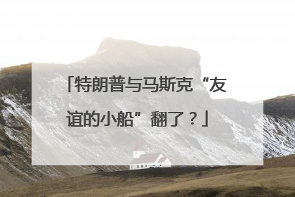 特朗普与马斯克“友谊的小船”翻了?