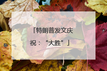 特朗普发文庆祝：“大胜”