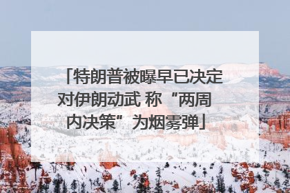 特朗普被曝早已决定对伊朗动武 称“两周内决策”为烟雾弹