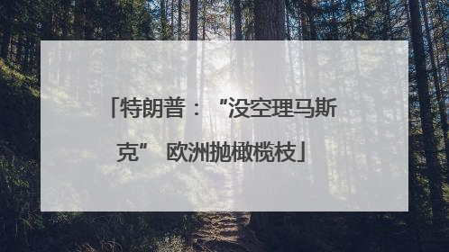 特朗普：“没空理马斯克” 欧洲抛橄榄枝