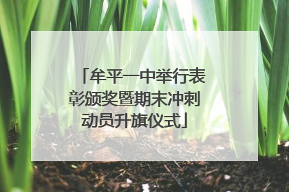 牟平一中举行表彰颁奖暨期末冲刺动员升旗仪式