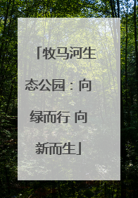 牧马河生态公园：向绿而行 向新而生