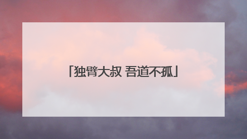 独臂大叔 吾道不孤