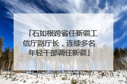 石如根跨省任新疆工信厅副厅长，连续多名年轻干部调任新疆