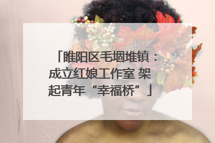 睢阳区毛堌堆镇：成立红娘工作室 架起青年“幸福桥”