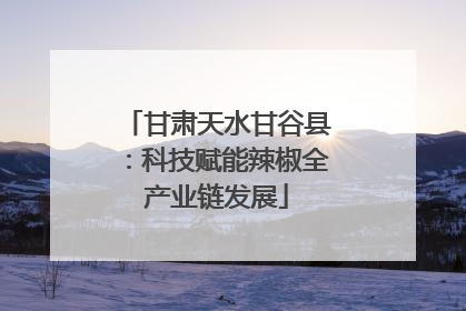 甘肃天水甘谷县：科技赋能辣椒全产业链发展