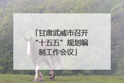 甘肃武威市召开“十五五”规划编制工作会议