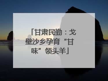 甘肃民勤：戈壁沙乡孕育“甘味”领头羊