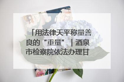 用法律天平称量善良的“重量”｜酒泉市检察院依法办理甘肃首例社区矫正对象见义勇为减刑案