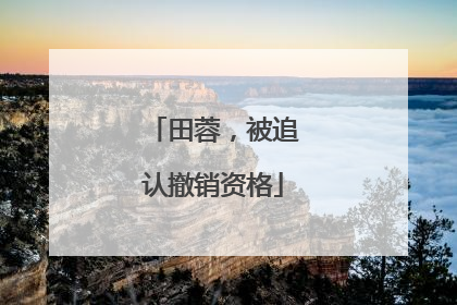 田蓉，被追认撤销资格