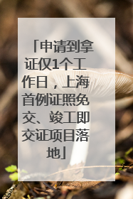 申请到拿证仅1个工作日，上海首例证照免交、竣工即交证项目落地
