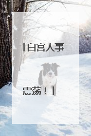 白宫人事震荡！