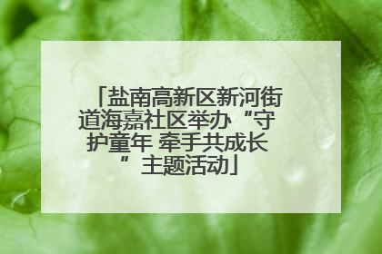 盐南高新区新河街道海嘉社区举办“守护童年 牵手共成长”主题活动