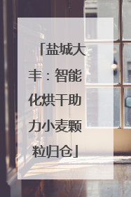 盐城大丰：智能化烘干助力小麦颗粒归仓