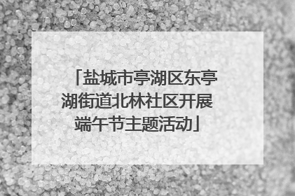 盐城市亭湖区东亭湖街道北林社区开展端午节主题活动