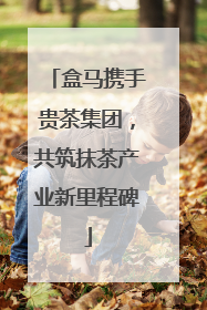 盒马携手贵茶集团，共筑抹茶产业新里程碑