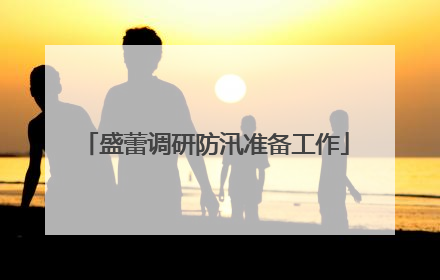 盛蕾调研防汛准备工作