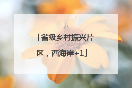 省级乡村振兴片区，西海岸+1