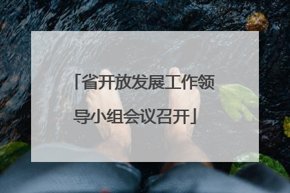 省开放发展工作领导小组会议召开