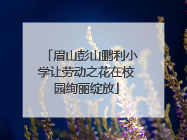 眉山彭山鹏利小学让劳动之花在校园绚丽绽放