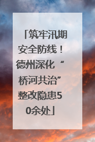 筑牢汛期安全防线！德州深化“桥河共治”整改隐患50余处
