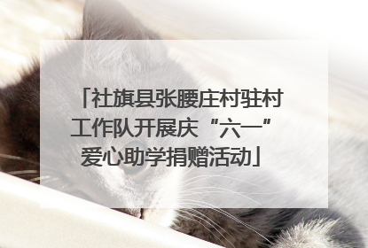 社旗县张腰庄村驻村工作队开展庆“六一”爱心助学捐赠活动