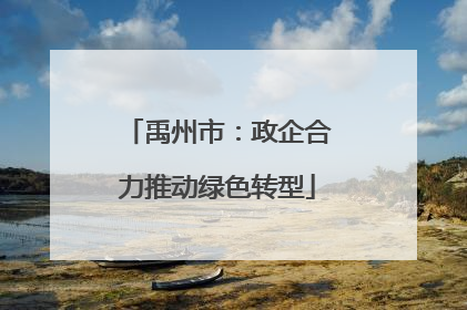 禹州市：政企合力推动绿色转型