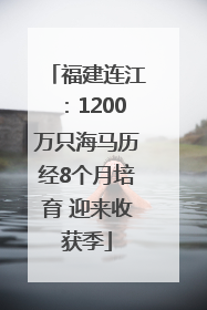 福建连江：1200万只海马历经8个月培育 迎来收获季