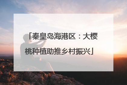 秦皇岛海港区：大樱桃种植助推乡村振兴