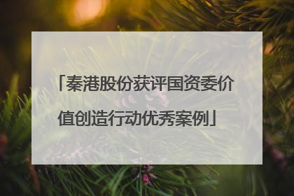秦港股份获评国资委价值创造行动优秀案例
