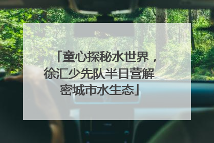 童心探秘水世界，徐汇少先队半日营解密城市水生态