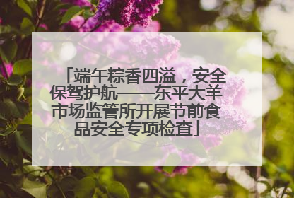 端午粽香四溢，安全保驾护航——东平大羊市场监管所开展节前食品安全专项检查