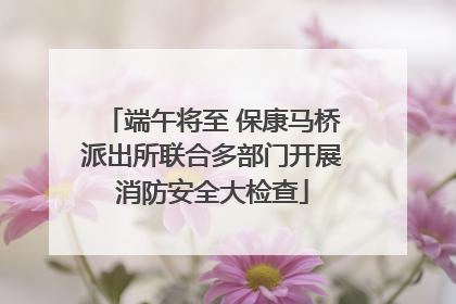 端午将至 保康马桥派出所联合多部门开展消防安全大检查