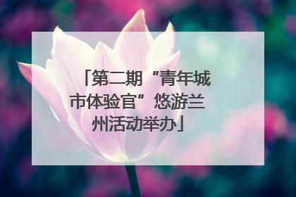 第二期“青年城市体验官”悠游兰州活动举办