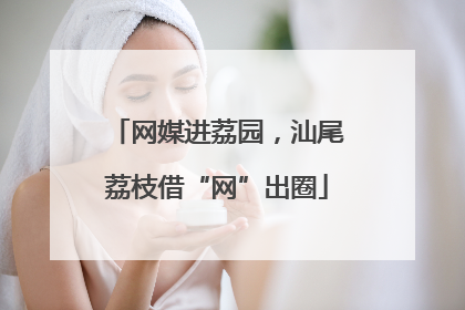 网媒进荔园，汕尾荔枝借“网”出圈