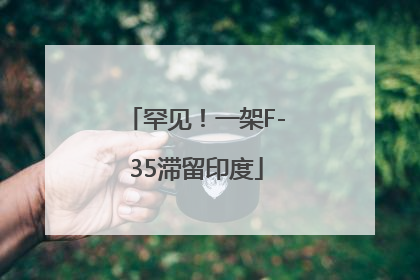 罕见！一架F-35滞留印度