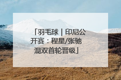羽毛球｜印尼公开赛：程星/张驰混双首轮晋级